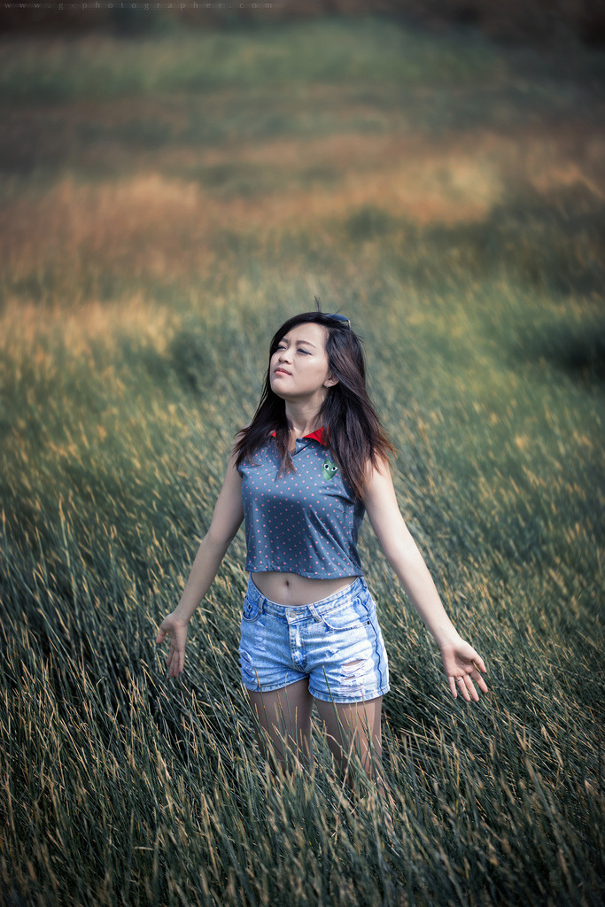 我女儿的爱人3